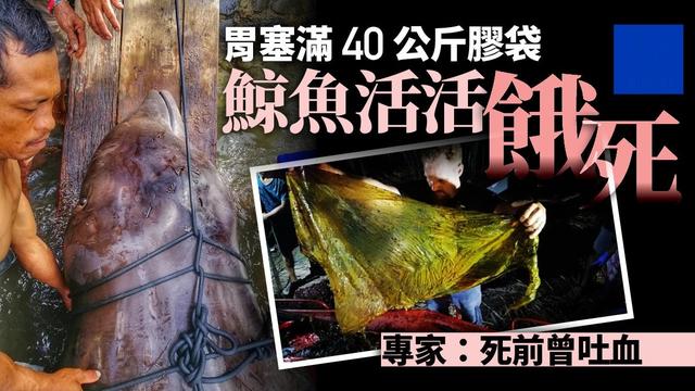 马里亚纳海沟:马里亚纳海沟是世界上最深的海沟，在海沟的下面还存在着什么？