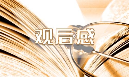 大创业家影评，怎么评价韩剧《优雅的家》