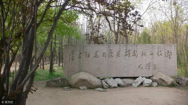 风来客牛肉味营养骨:武松打虎吃了四斤熟牛肉，古时的牛肉能轻易吃到吗？