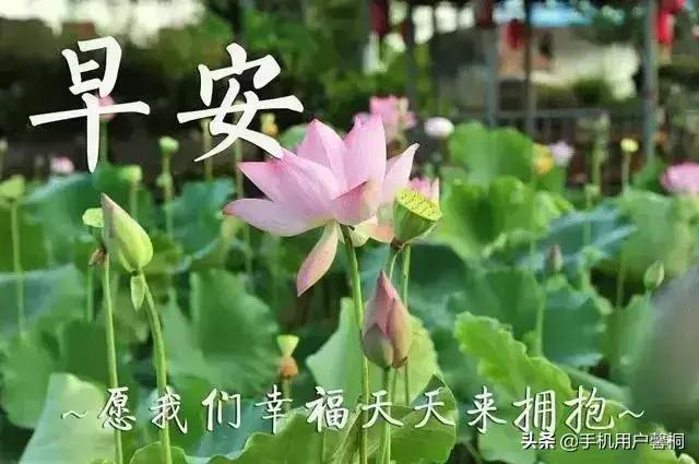 适合发<a href=https://maguai.com/list/256-0-0.html target=_blank class=infotextkey>朋友圈</a>的早经典句子:有没有适合发生日的句子？