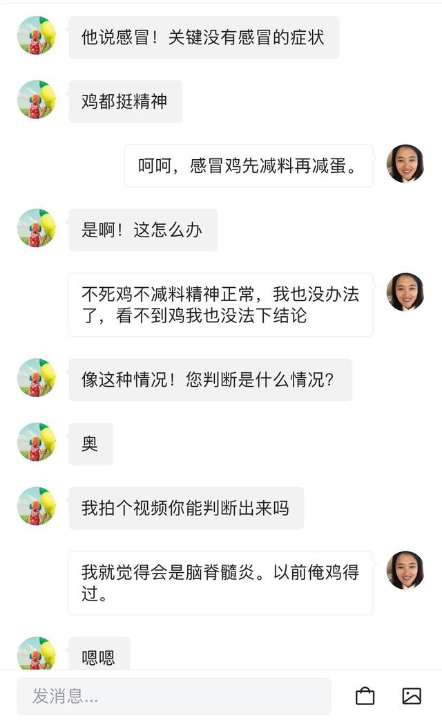 养鸡兽医专家在线咨询:哪里有兽医可以线上问诊啊？