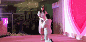 何猷君读什么:如何看待奚梦瑶和何猷君结婚？