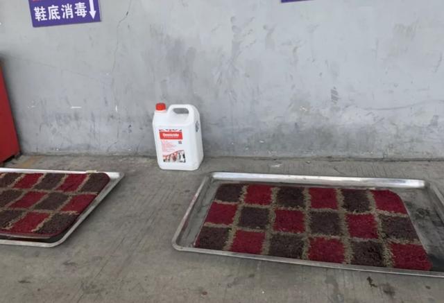 猪传染性胃肠炎:猪传染性胃肠炎怎么治 仔猪胃肠炎腹泻怎么治疗？