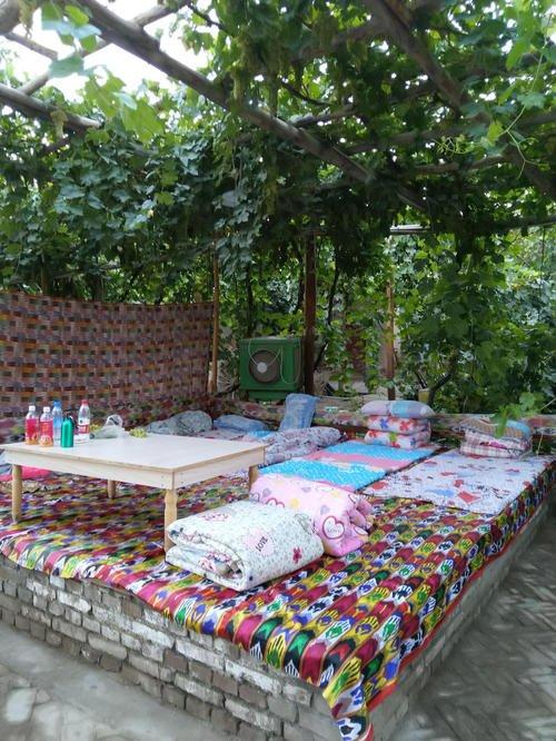 种什么果树最镇宅,植树节前后，农村院子里栽什么树比较好？