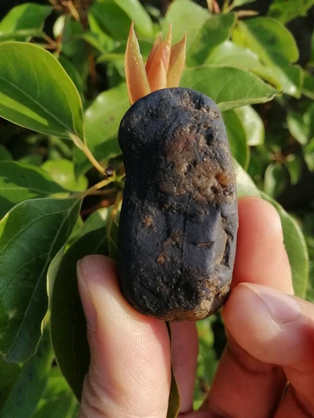像童话一样:现在谈恋爱不化金钱，恐怕是生活在童话世界里，你认为呢？
