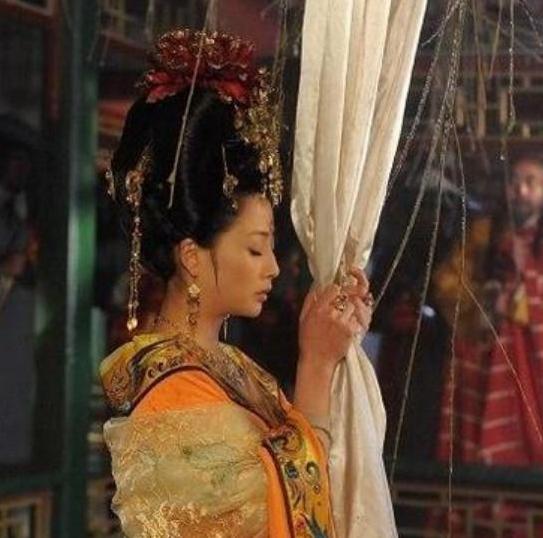 杨玉环生了几个孩子,生过孩子吗 杨玉环第一孩子和谁生的