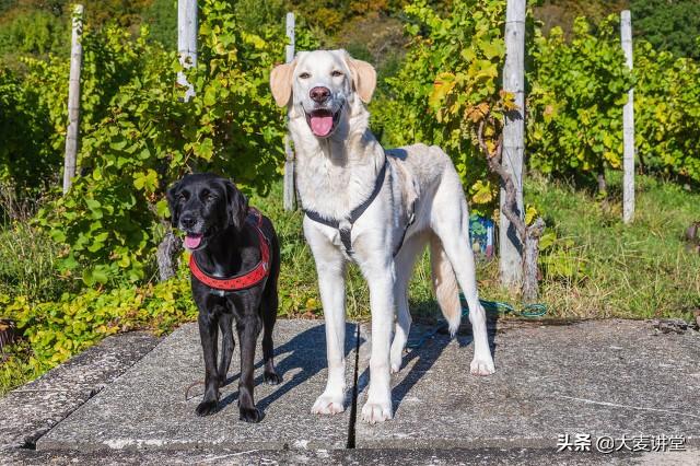 什么行业才是未来大趋势？为什么？插图2