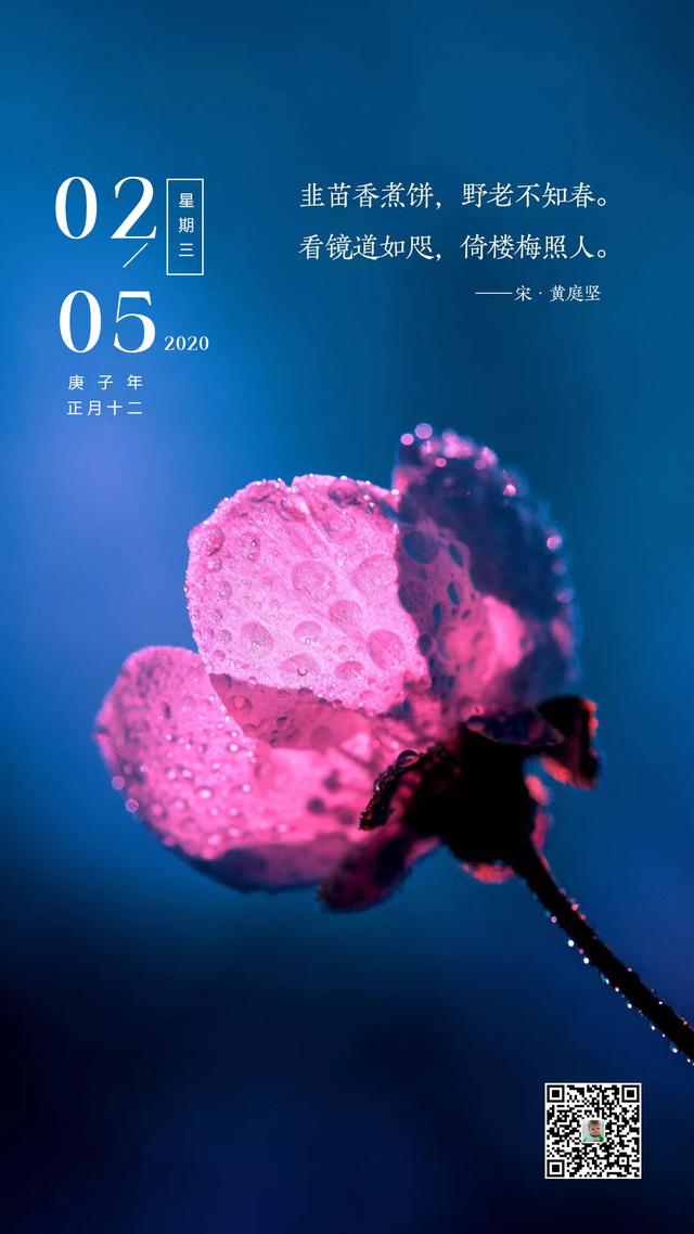 2月5日早安日签图片，正月十二早上好正能量语录句子