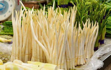 头条问答 建水草芽能保存多久 怎么做比较好吃 3个回答