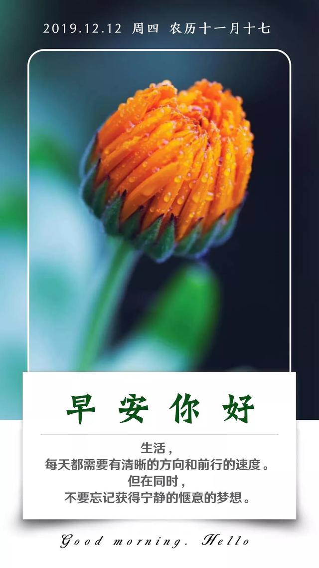 1212早安配图日签：每天都需要有清晰的方向和前行的速度