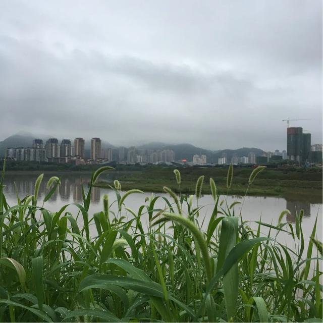有没有励志又很诗意的句子？