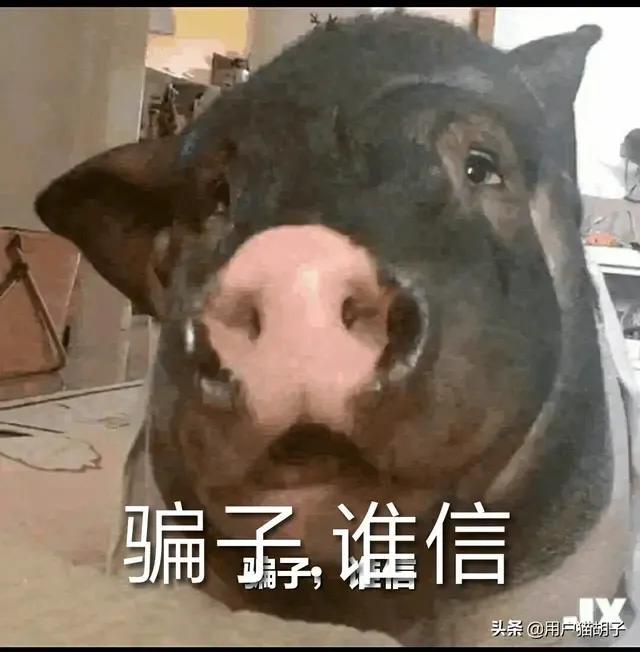 成都双色球2682万元大奖得主“抽空”来领奖,程序员的独特选号方式你get了吗？