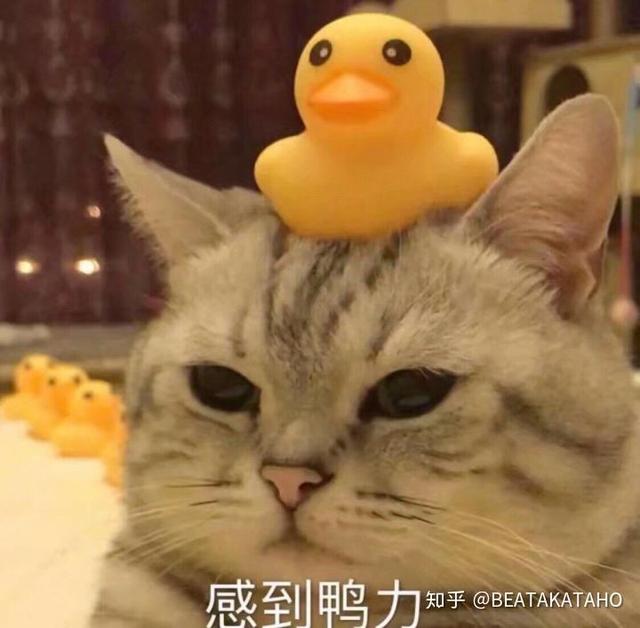 四胞胎冰清玉洁:如何评价综艺《青春有你2》第二十一期（合作舞台）