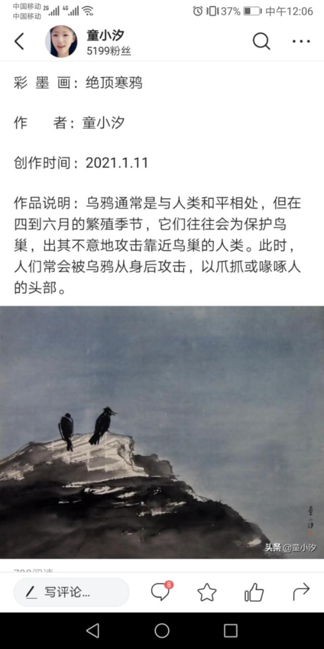童小汐作品真假？
