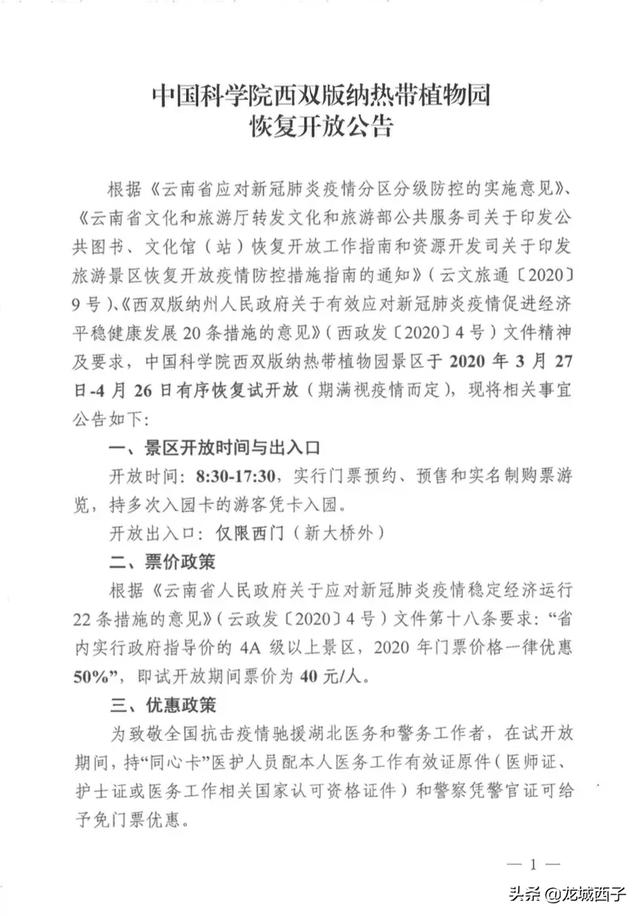 腊肠树:便秘果长期喝对身体有什么坏处？