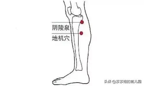 减大肚子最快的方法:有什么方法可以快速减掉大肚腩？