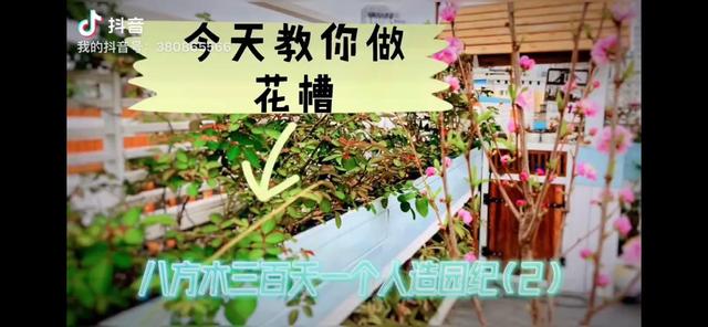 我家住在顶楼，最近想在楼顶搞一个空中花园，能否请大家提供好思路？插图79