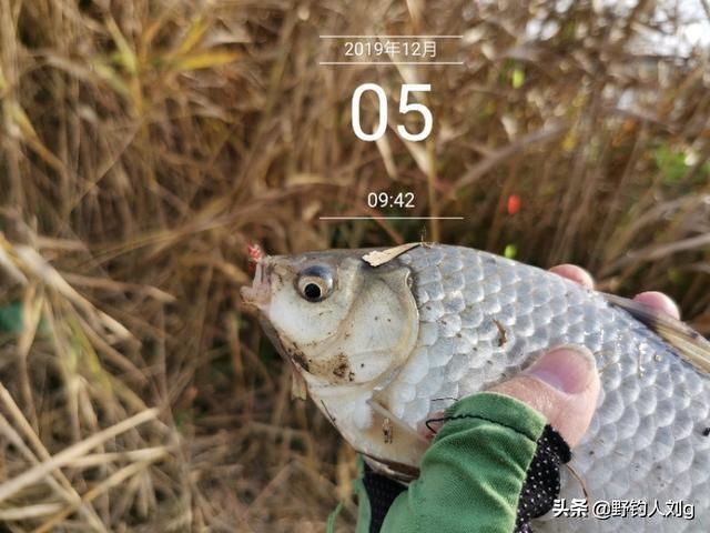 野钓鲤鱼都有什么技巧，野钓深水，不能钓底，如何钓鲤鱼和鲫鱼