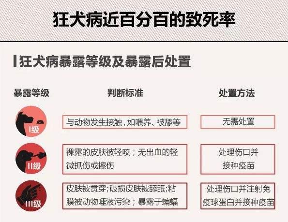 狂犬病发病概率，狂犬病超过一年的发病几率大吗