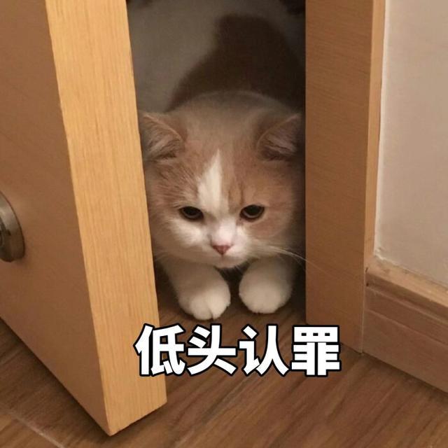 刚分手,怎么挽回前女友？