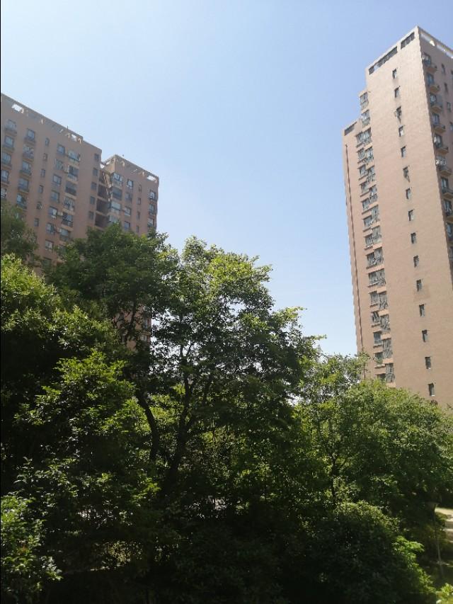 千万不要买小三房,90后的第一套房，该选择两房还是三房？