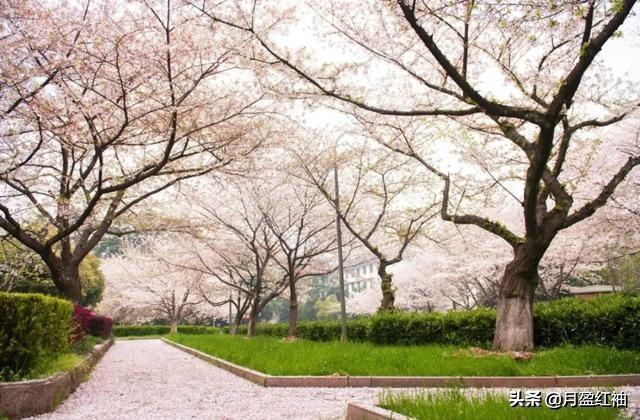 清明即事:清明写出了什么样的节日情景？