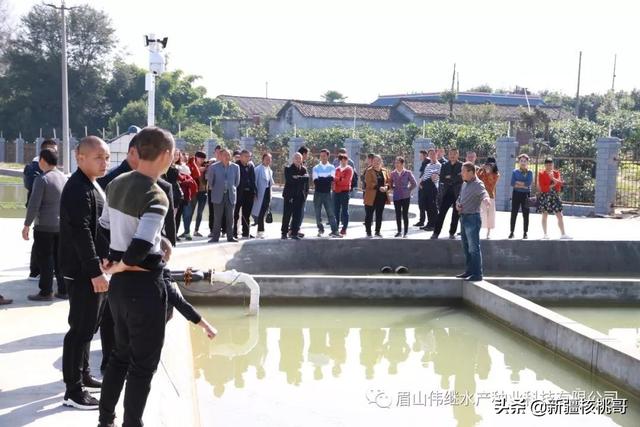 哪里有水产养殖基地可参观学习