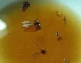生活中，可乐的作用与用途有哪些？