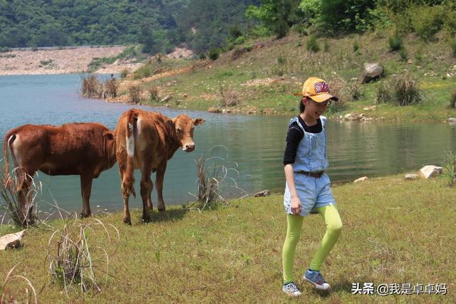 毕夏老公:退休后想，想到一个城市住几个月再换个城市住几个月，可行吗？