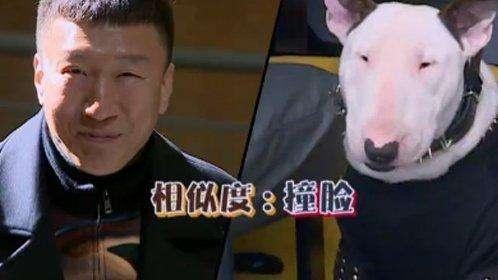 极限挑战有哪些让你笑到肚子疼的场面？