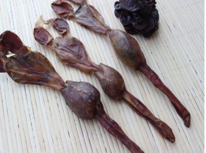 腽肭兽是什么:腽肭脐有哪些形态特征和功效？