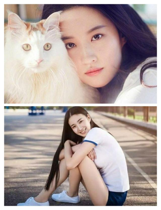 刘亦菲的妹妹:《清平乐》中，最受宠爱的张妼晗，和刘亦菲长的像吗