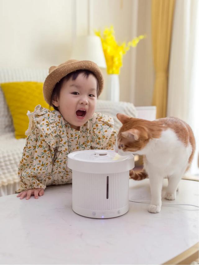 甜蜜猫猫01话:猫咪可以自己在家两天一夜吗，如果可以的话需要帮它做些什么？