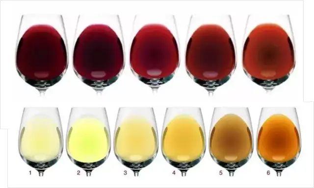 品葡萄酒，你都是从哪些个角度品鉴葡萄酒？