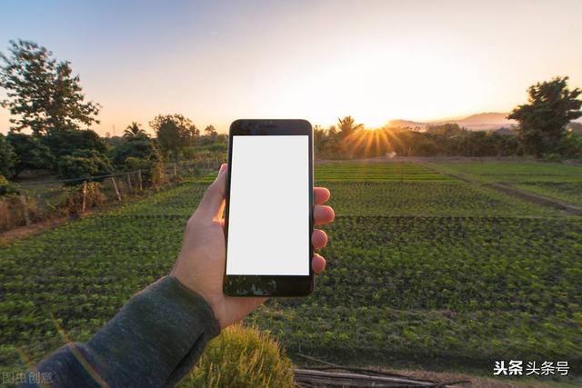 什么样的手机一定不能买？插图