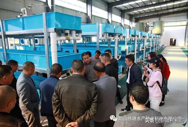 哪里有水产养殖基地可参观学习