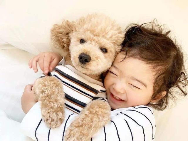比格犬图片:孩子快上小学了一直想养只狗，哪些狗狗的性格比较温顺？