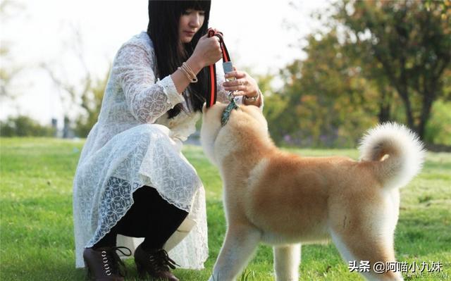 天天宠物网移动版:很多人会说养宠物属于“玩物丧志”，你个人觉得这说法对吗？