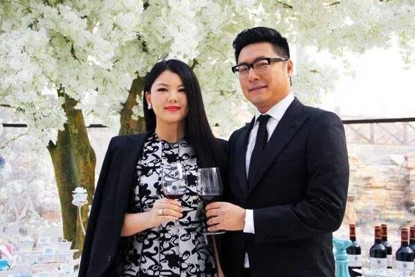 王岳伦导演的作品:为什么说王岳伦被自己打脸