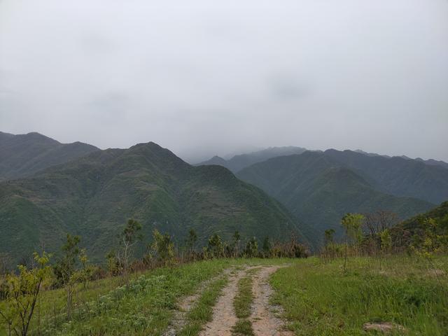 新藤惠美:地里长了许多葛根藤，怎么清除？