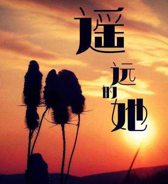 提到张学友,你会想到他的作品有哪些？