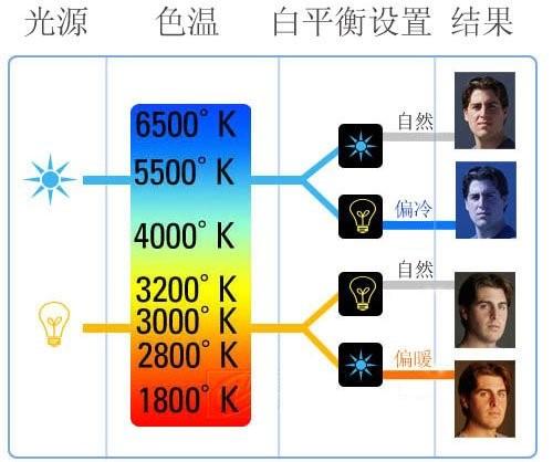 陈红图片:哪些女明星虽然是“大饼脸”但也非常美她们是怎么做到的