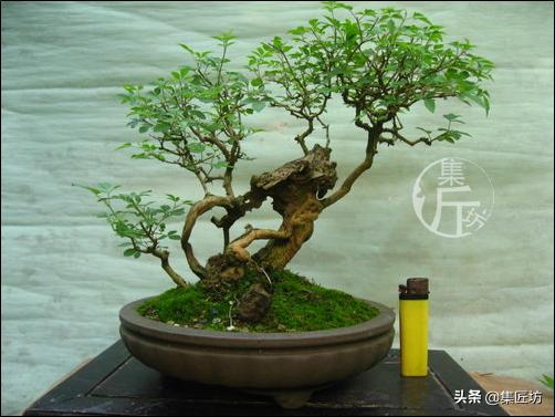 培新机械:工业机器人专业有哪些就业方向？