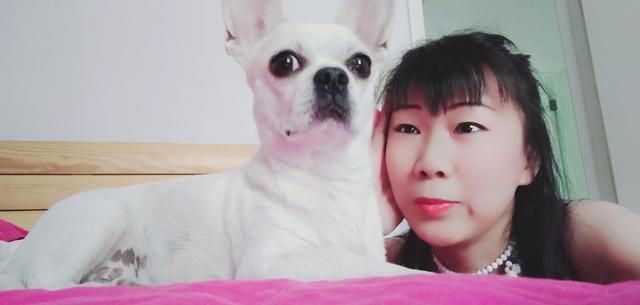 带宠物鸭扫大街萌坏路人:王珞丹连发两条“找鸭”微博冲上热搜，关于这件事你怎么看？ 宠物鸭街头散步视频