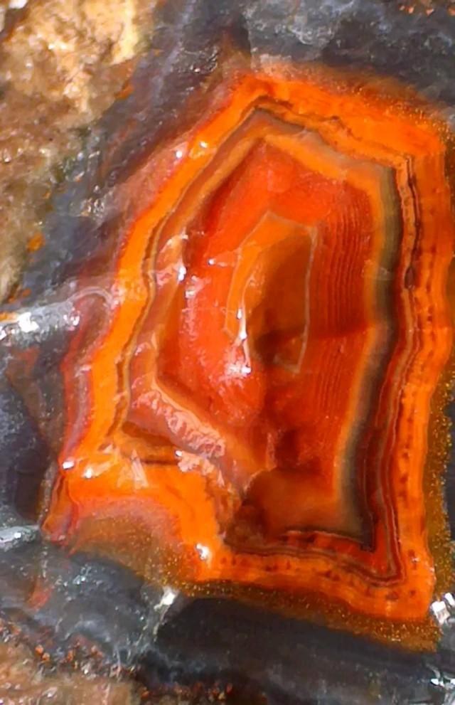 42种矿石标本图片,请教高人这是什么石头？有没有收藏价值？