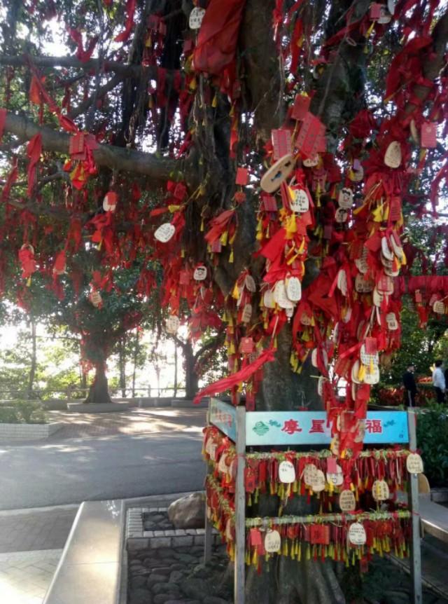 你见过哪些江湖气的诗句？
