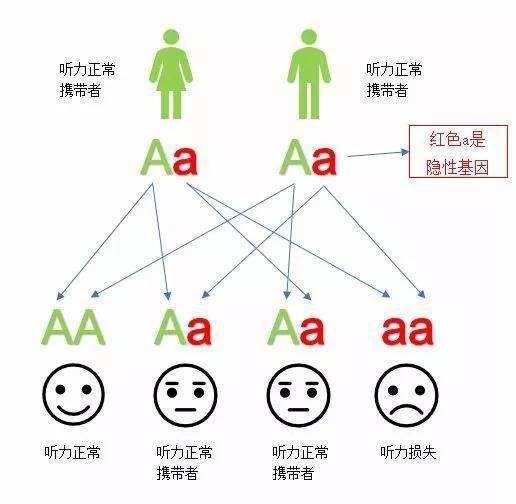 显性遗传,父母不同特征的遗传叫什么？