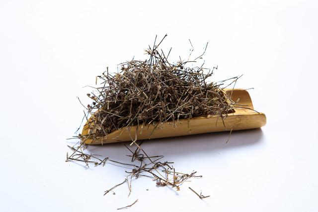 金钱白花蛇和赤链蛇:白花蛇草水含有什么成分？