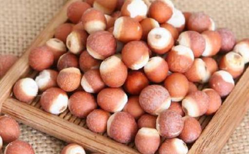祛湿能赛过红豆的食物是什么呢？插图3