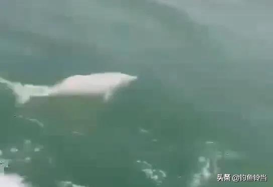 广西大桥灵异事件:南宁一小区阳台上挂奇怪布偶娃娃，上面写邻居的名字，怎么回事？